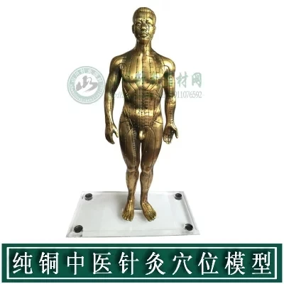 

Pure copper human body meridian acupuncture points model bronze acupuncture acupoints model copper people 50cm