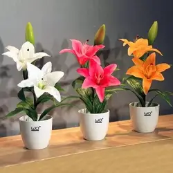 Цветок лилии бонсаи растения бонсай 100 шт
