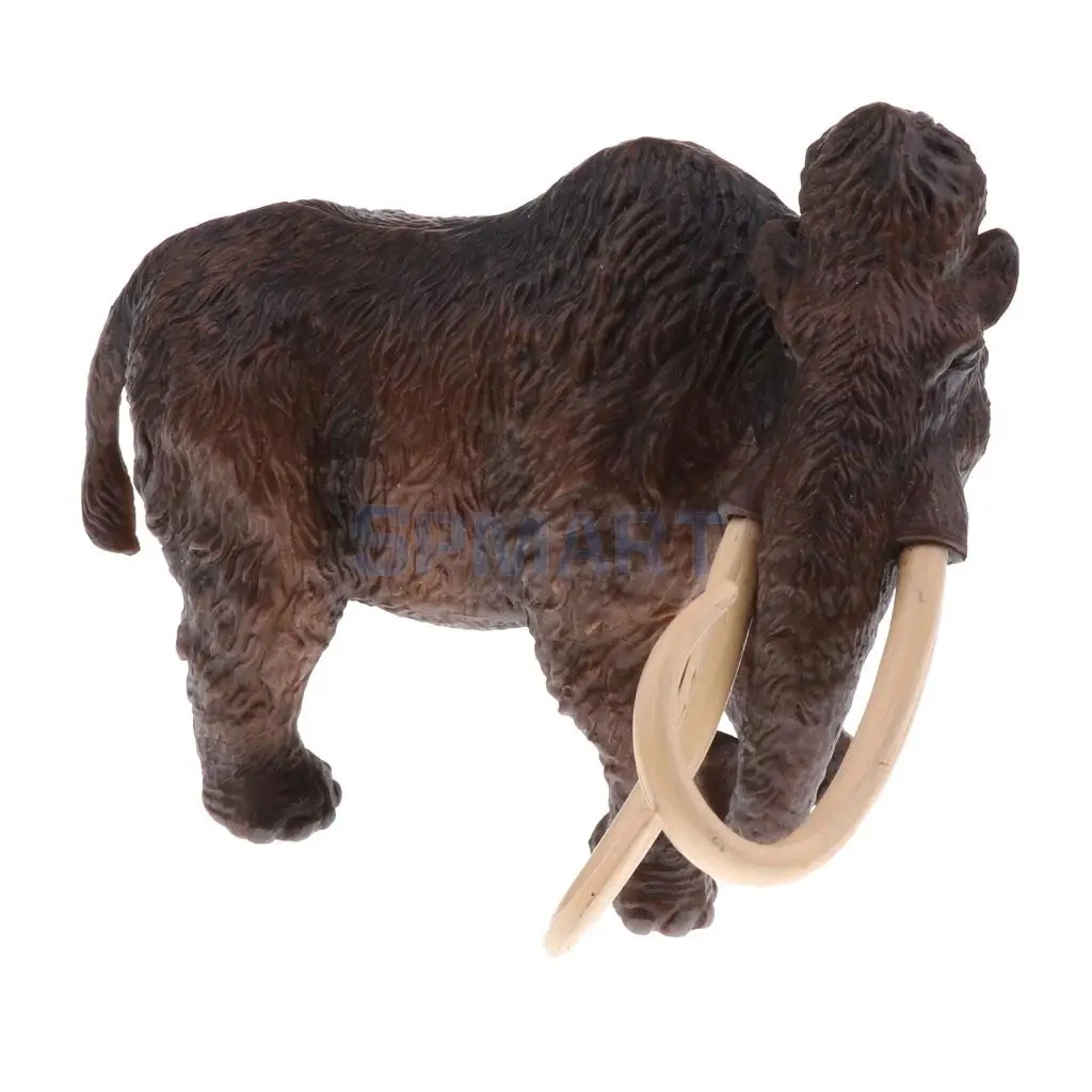Simulation Wildlife Farm Pet Animal Model Action Figures Figurine Kid Educational Science Nature Toy Home Collectible Decoration