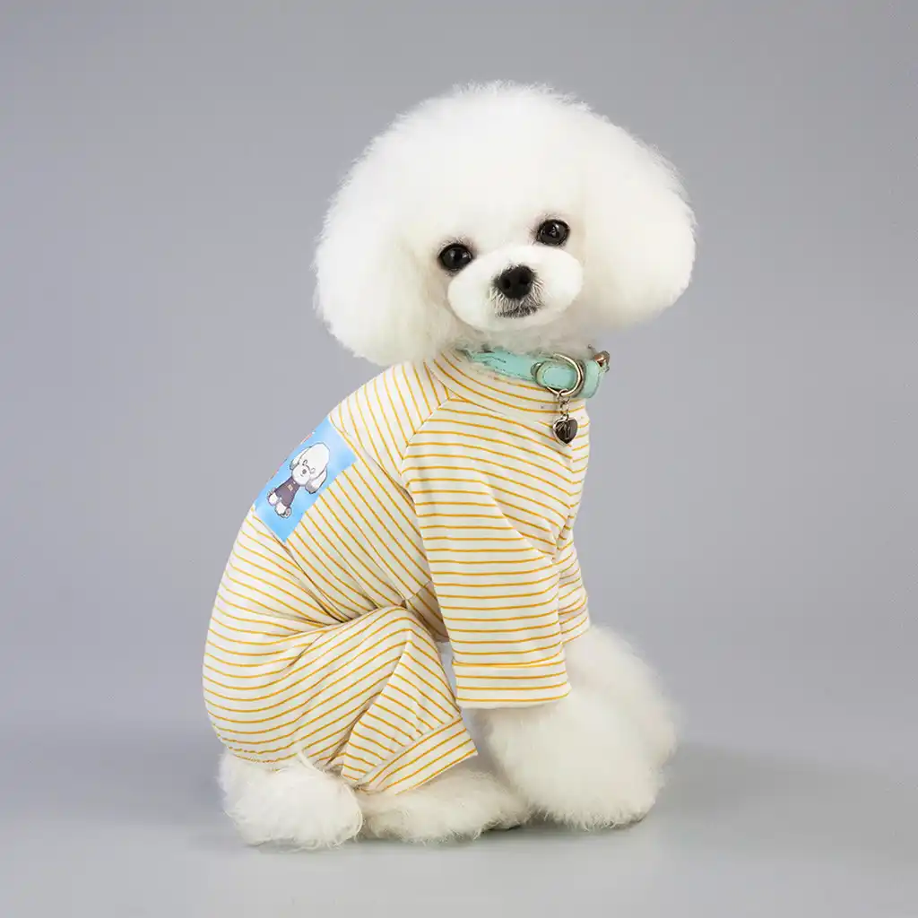 Clothes for bichon frise dogs Clearance
