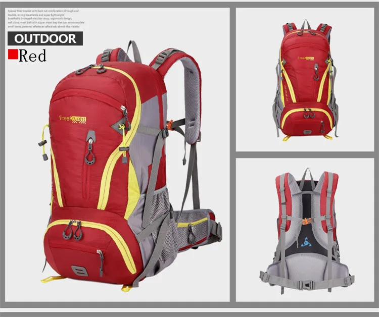 3247577834_317209040_