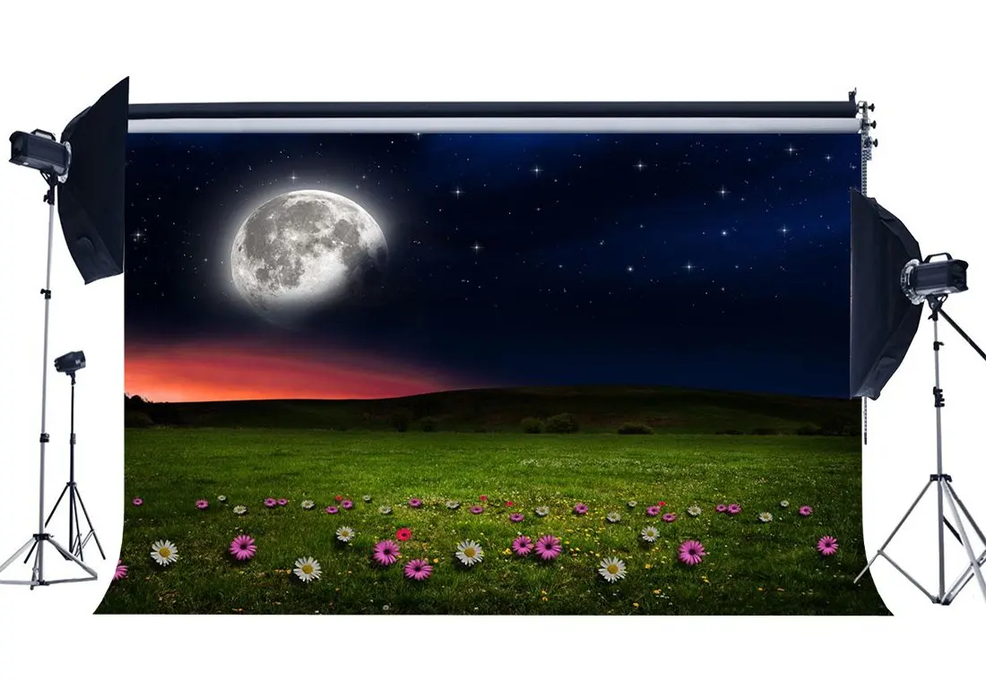 

Fairytale Spring Backdrop Enchanted Garden Twinkle Starry Moon Night Backdrops Fresh Flowers Background