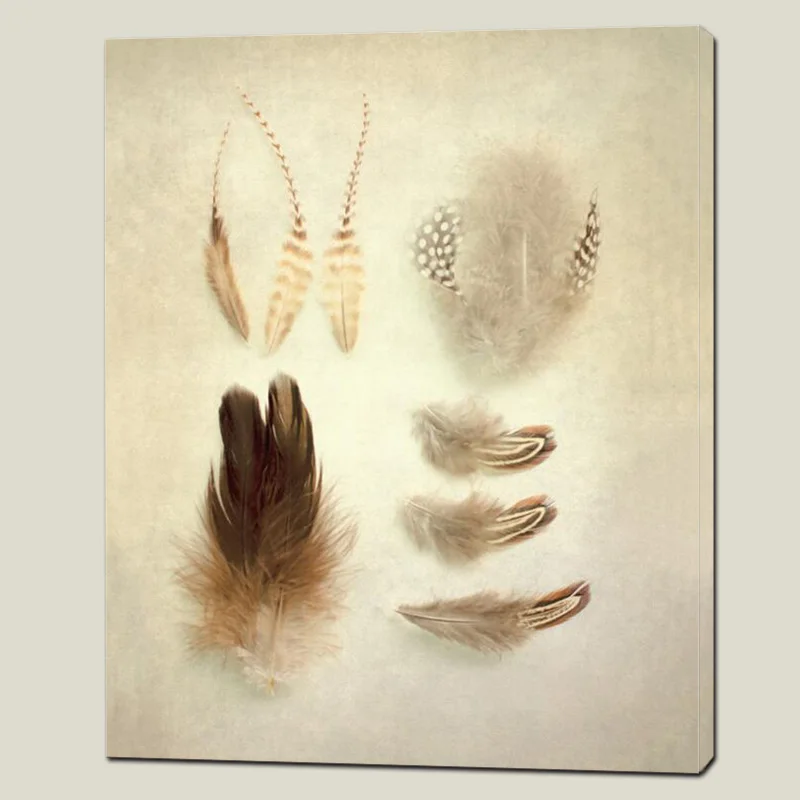 

Art Feather Canvas Painting Custom Print High Quality Art Poster Picture Wall Painting For Hotel And Shop Decoration Home Decor