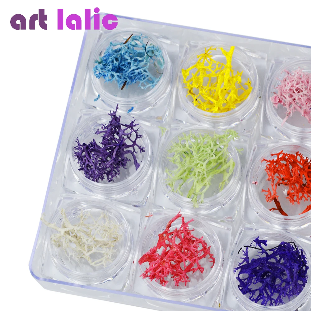 Artlalic, 12 цветов, Натуральный Коралл, 3D, для дизайна ногтей, морские водоросли, сухие консервированные цветы, кончики для украшения ногтей, аксессуары для самостоятельного маникюра