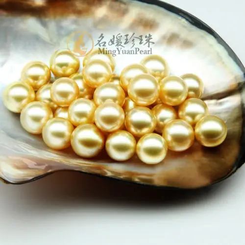 

Wholesale FREE SHIPPING PERFECT ROUND AAA 8-9MM AUSTRALIAN SOUTH SEA GENUINE GOLD LOOSE PEARL UNDRILLED