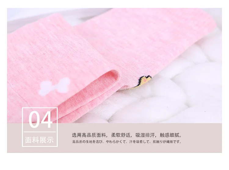 8557914419_259698019