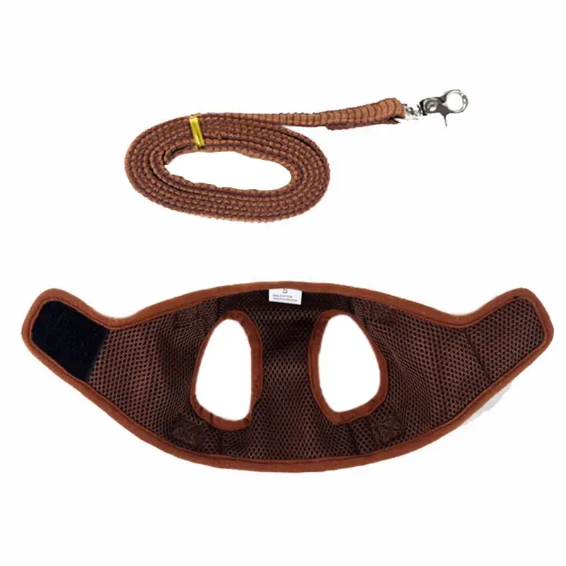 Outdoor Pet Harness With Leash Set, Escape Proof Dog Harness And Long Leash, Comfortable Easy Control For Small Dogs Walking