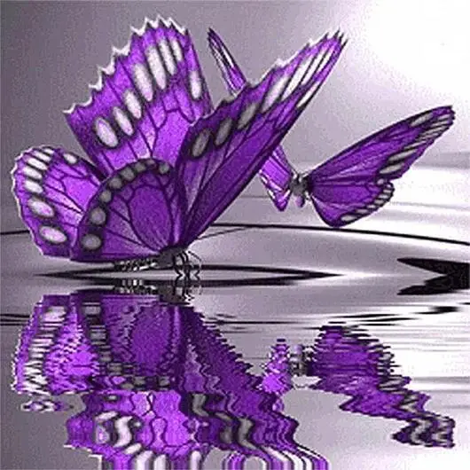 

Butterfly on the Water Diamond Painting
