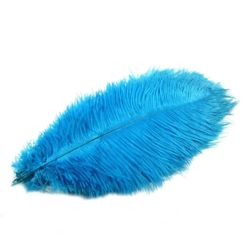 61Wx+CAQ2CL._SL1100_