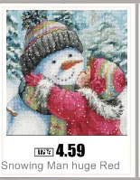 AeProduct.getSubject ()