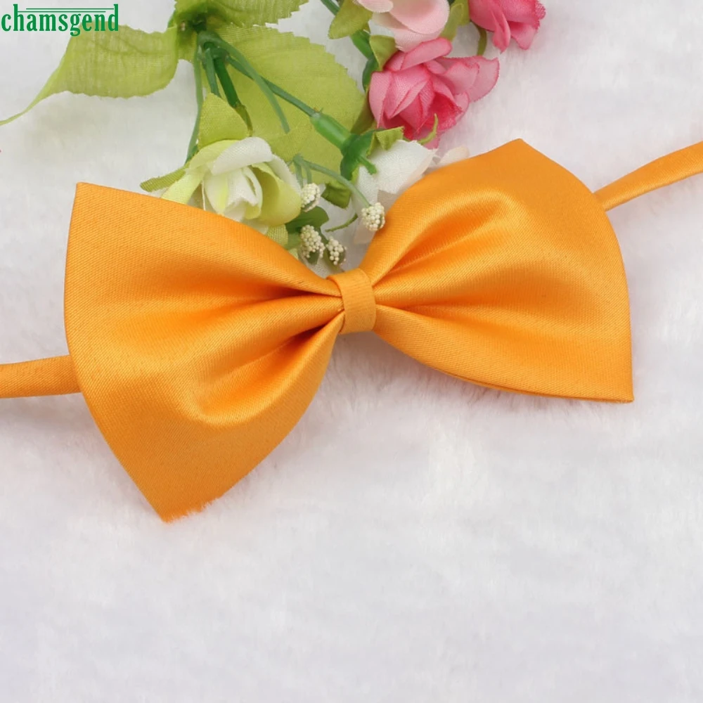 Подарки CHAMSGEND милая собака щенок кошка котенок игрушка для питомца ребенок