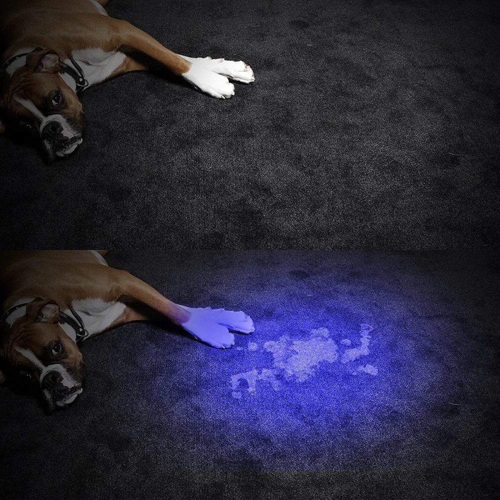 9LED UV blacklight flashlight (8)