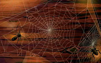 

Spider Halloween Wood photo backdrop Vinyl cloth High quality Computer printed party photography studio background