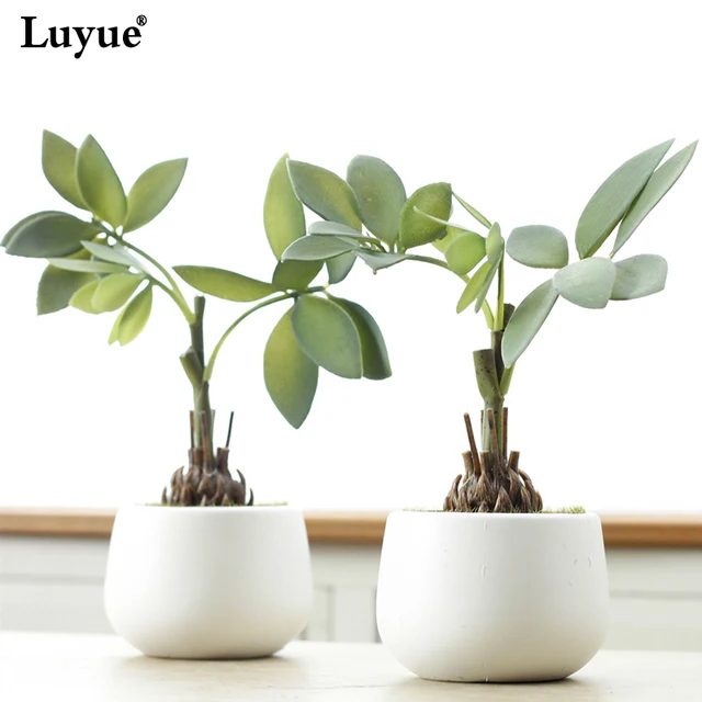 Luyue Artificial Flower Plant Bonsai Money Tree Home Decoration Luyue Artificial Flower Plant Bonsai Money Tree Home Decoration Potted Plants Plastic Vase Courtyard