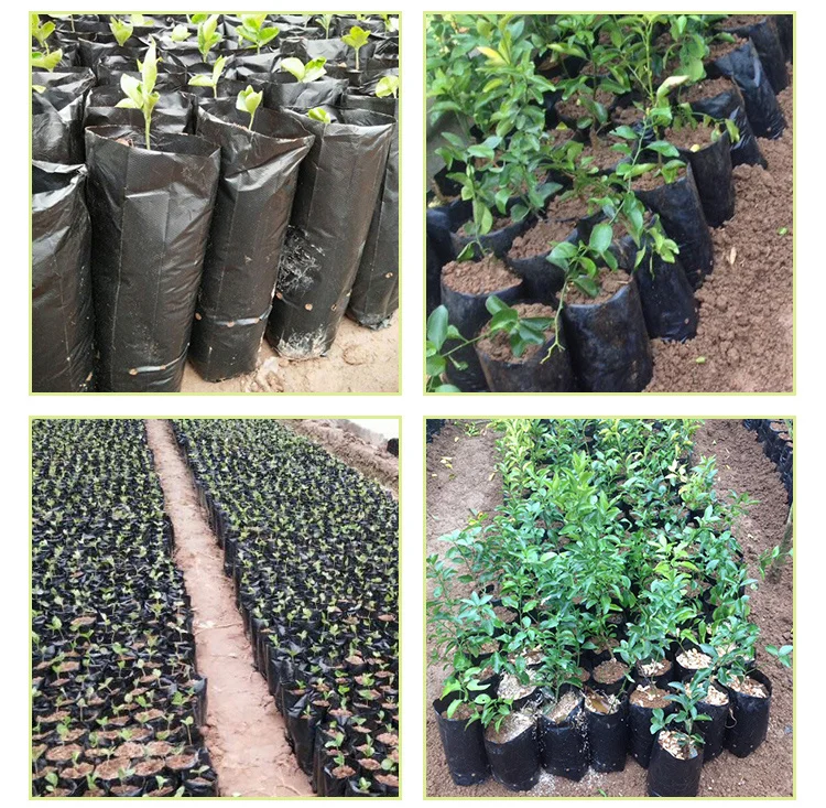 24X31CM diameter 15cm high 24cm Black thickening Nursery bag lemon