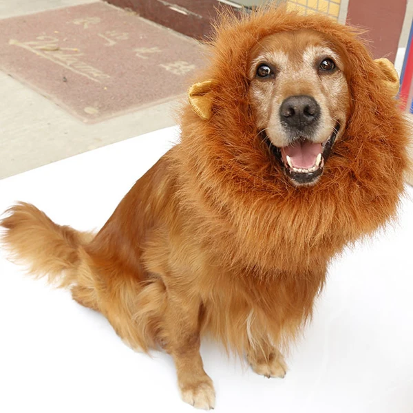 Pet Lion Head Dogs Wig Gold Hair Big Lion Head Wear Hat With Ear