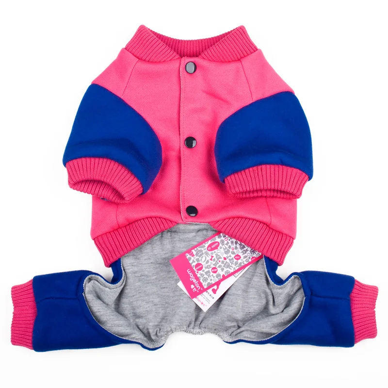10 clothing for dog 