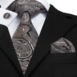 SN-1681 Новое поступление коричневые Цветочные Галстуки для мужчин Hi-галстук высшего качества ручной работы шелковая ткань галстук платок