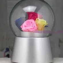 Rong-719+ Неувядаемый Цвет Цветы DIY производства поворотный хрустальный шар музыкальная шкатулка отправить обувь для мужчин и женщин друзья жена