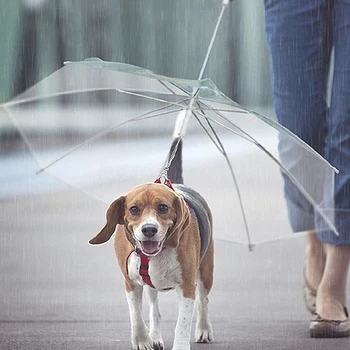 

Transparent Pet Umbrella Portable Built-in Leash Puppy Umbrella Cat Raincoat Small Dog Cat Rain Gear with Dog Leads Keeps