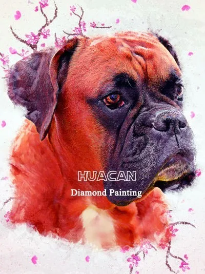 Huacan, полная алмазная живопись, новинка, алмазная вышивка собаки, животное, квадратная мозаика, кристальные картины, стразы - Цвет: AP6705