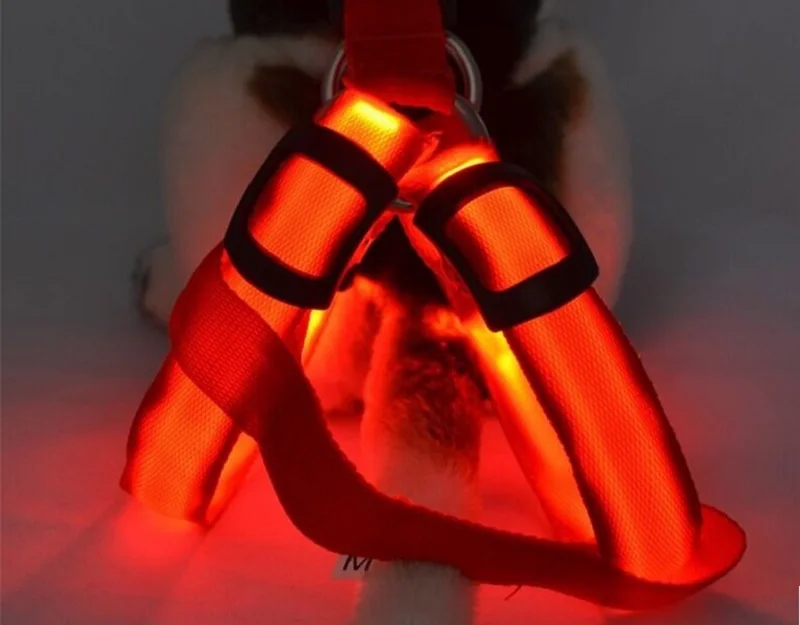 G26_Factory_Nylon_LED_Dog_Harness_Pet_Cat_Dog_Collar_Harness_Vest_Belt_Safety_Lighted_Dog_Harness_for_Small_Medium_dog_12