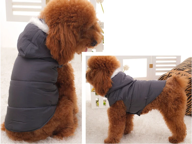 Толстовки собака пуховик тонкое пальто для на осень-зиму начала Одежда с принтом в виде собак щенок зимняя куртка маленькая собака пуховик зимняя одежда
