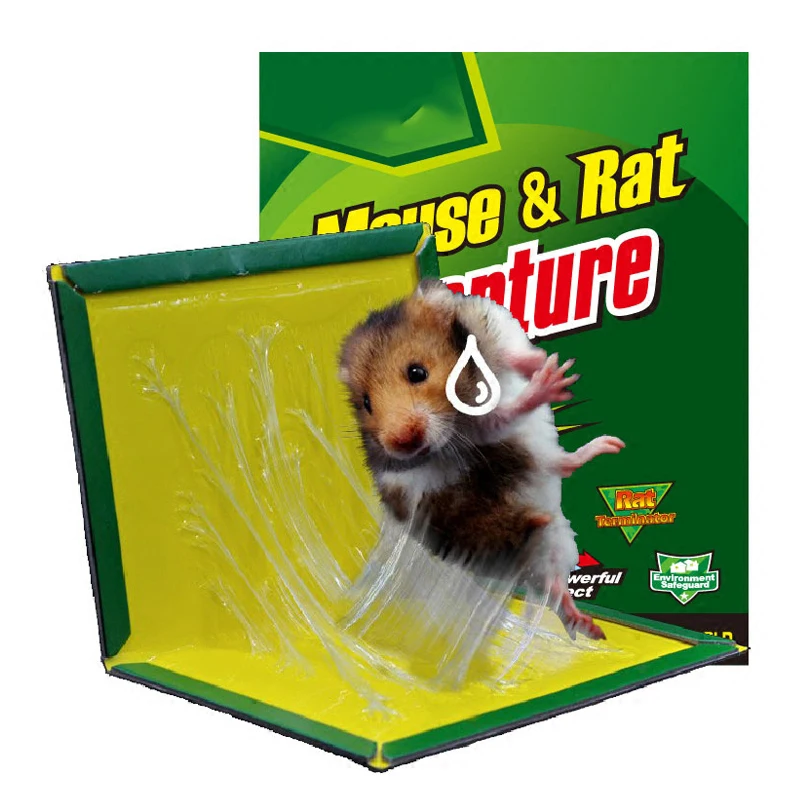 

Portable And Easy To Use, Safe And Hygienic Powerful Sticky Mouse Board Mousetrap Environment Non-toxic Rodent Trap Design