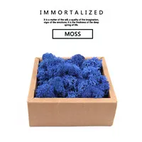500 г многоцветный мох никогда не увядает страховые цветы бесморские Цветы DIY Цветочные материалы микроскопические бонсай - Цвет: X   Dark blue
