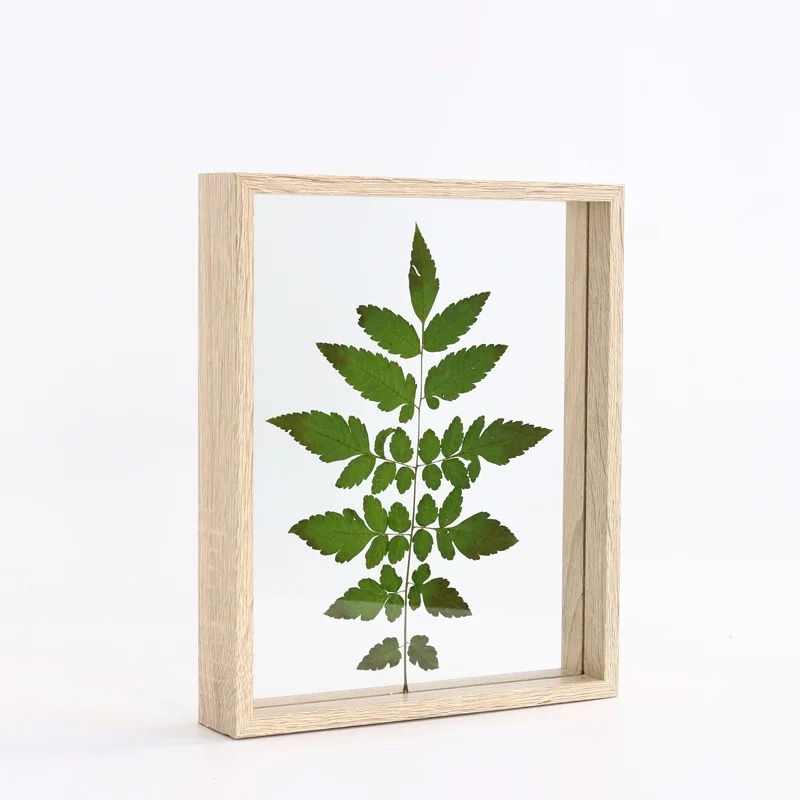 Billige 5 7 8 10 Inch Einfache Pflanzenproben Doppelseitige Glas Rahmen Massivholz Kreative Decor Rahmen DIY Kunst bild Foto Rahmen Geschenke