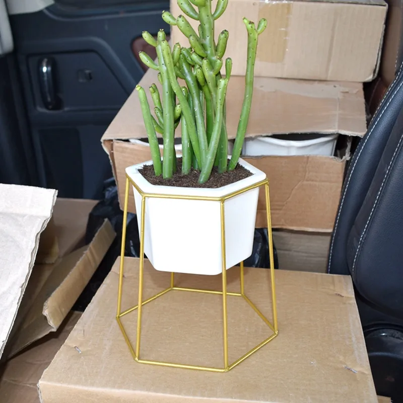 Desktop Ceramic Plant Flower Pots (14)