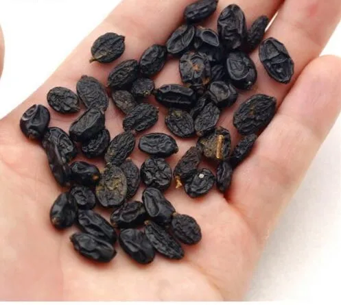 как вырастить гортензию из семян