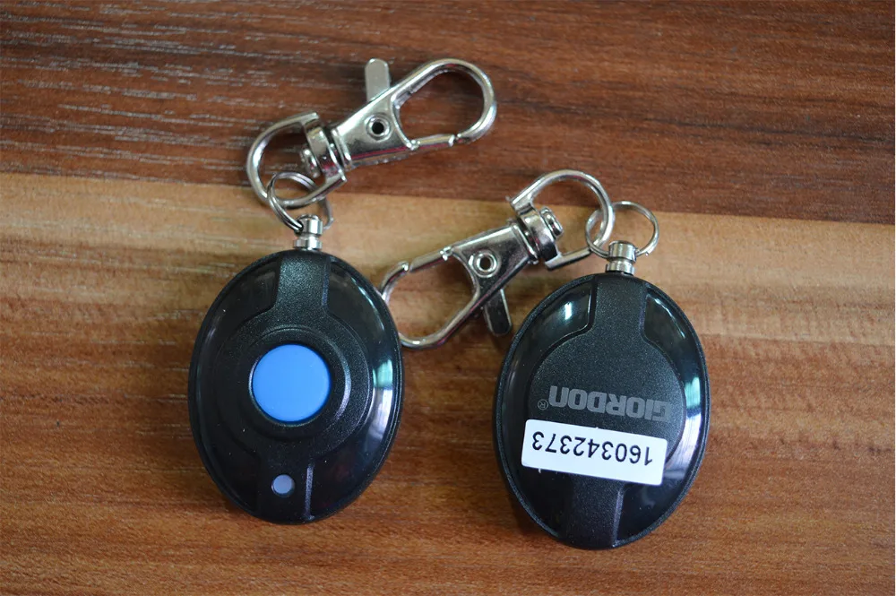 Car alarm system (12)