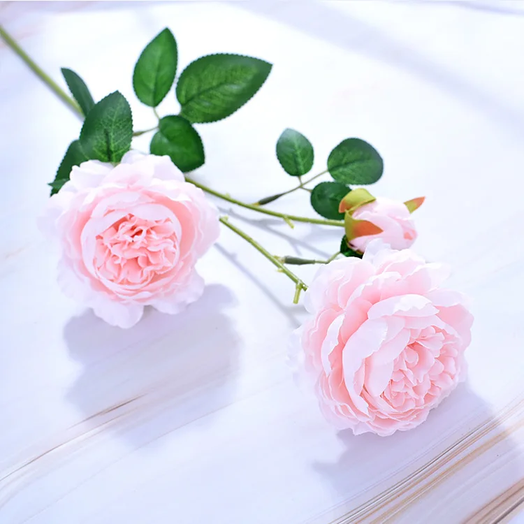 9433324203_519713817