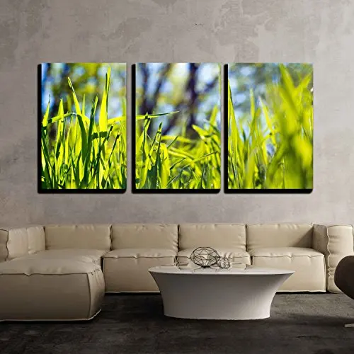 3 Piece Canvas Wall Art Green Grass CloseUp Over Trees Background Modern Home Decor No Framed Panels | Дом и сад