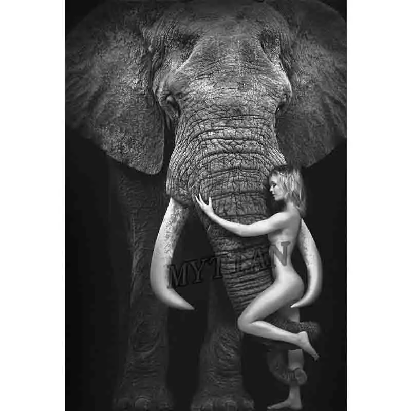 Картина слон черно белая