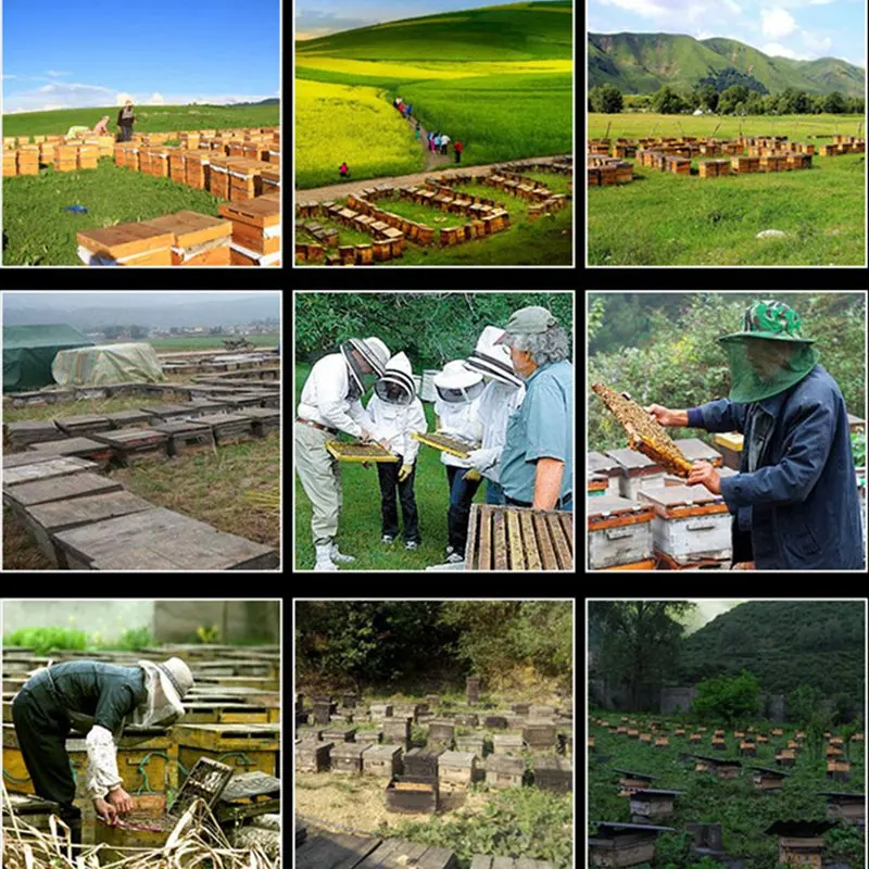 Профессиональный акарицид против пчеловодства полоски пчеловодства Пчеловодство варроа клещей убийца и контроль пчеловодства фермы лекарств