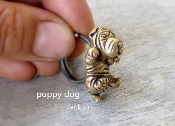 Shar pei puppy dog2