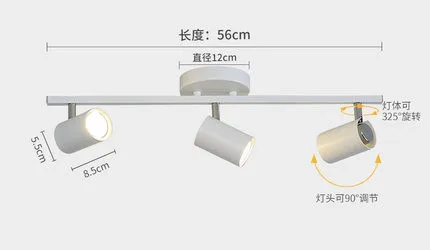 Скандинавская Гостиная ТВ фоновая настенная потолочная светодиодная дорожка для магазина одежды гардероб потолочный прожектор - Цвет корпуса: 3 heads white