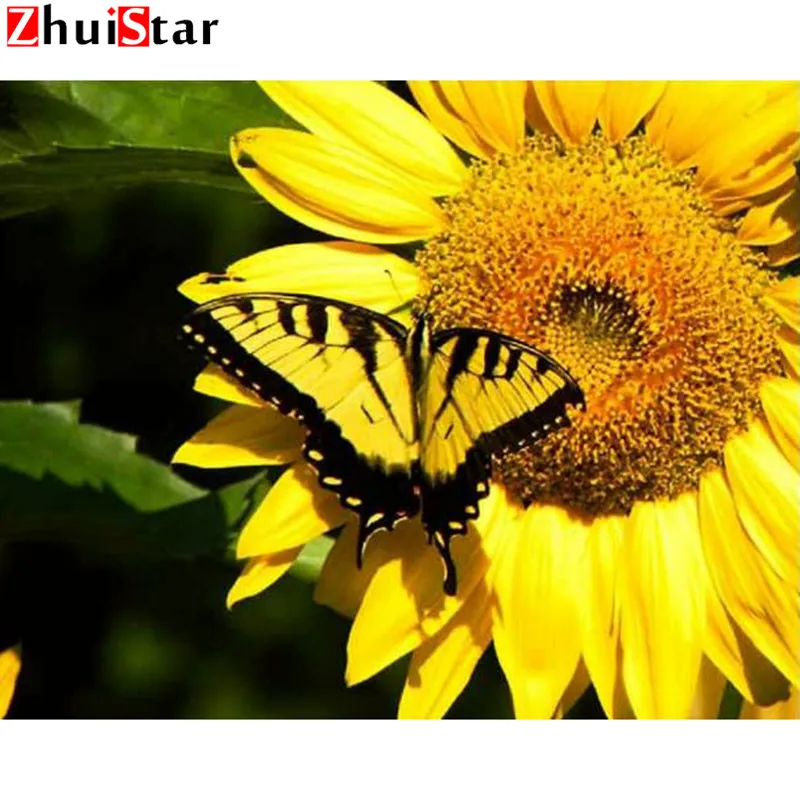 фон для презентации подсолнух с семечками. камень подсолнечник. камень подсолнечник. масличные сорта подсолнечника. ядро семян подсолнечника ,25кг.