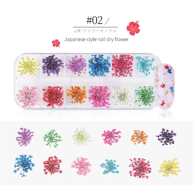 3D-Real-Dried-Flowers-Nail-Art-Sticker-Sunflower-Daffodil-Natural-Floral-Decals-Manicure-Nails-Dry-Flower.jpg_640x640 (1)