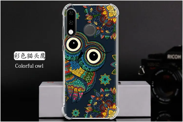  Colorful owl