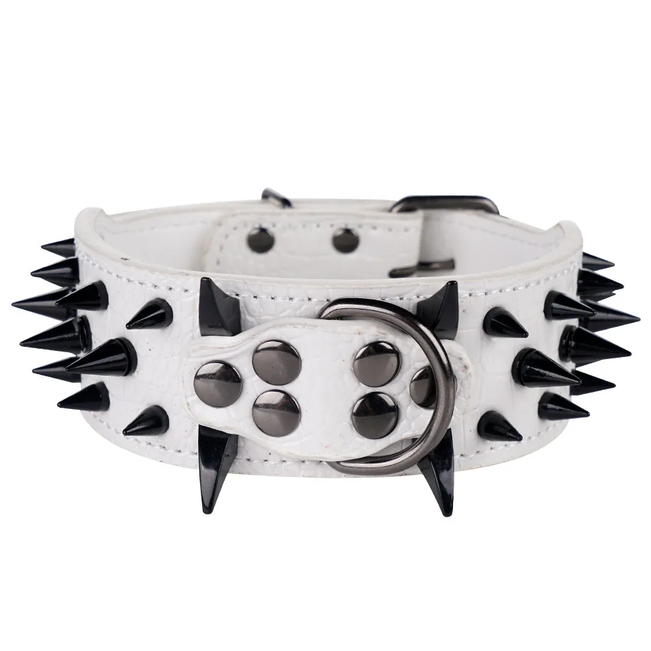 pitbull dog pet collar