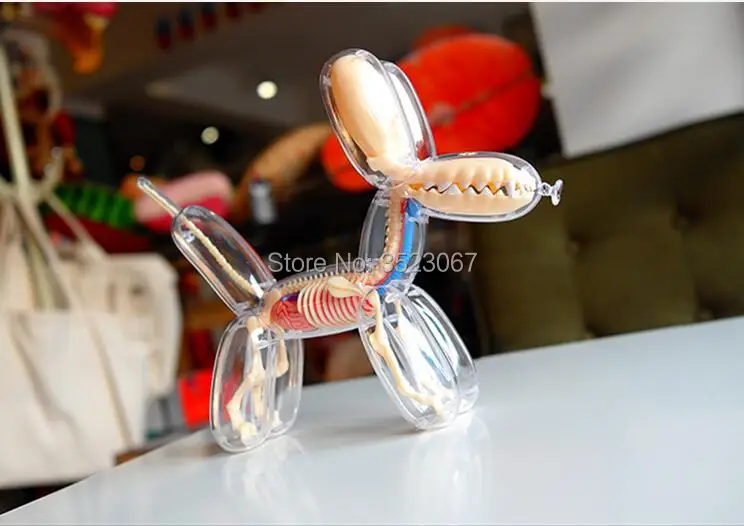 

Anatomical Medical traumatic pistol Human anatomy traumatism Professional Magnified Pulmonary Alveoli Joint Simulation