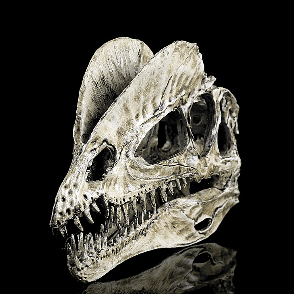 Dinosaur Skull Replica Skeleton Model Aquarium Ornament Antique Yellow