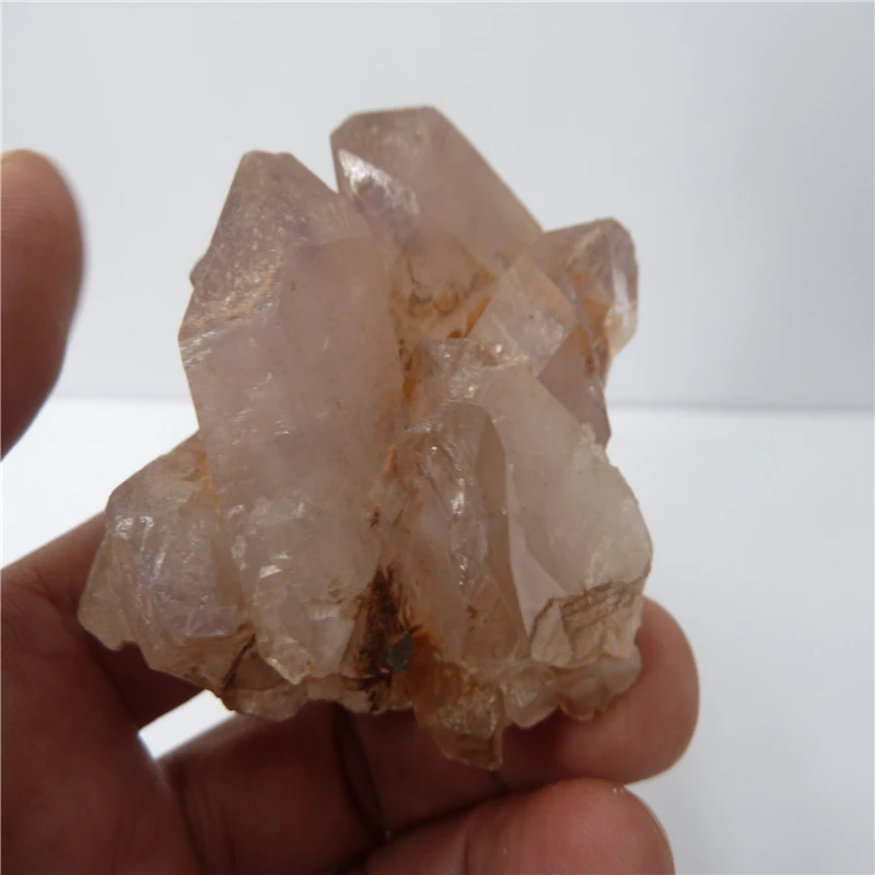 P1500577