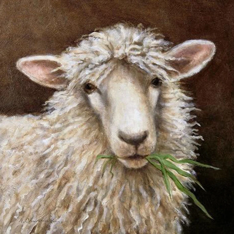 HTB1BQ_fbiHrK1Rjy0Flq6AsaFXaR