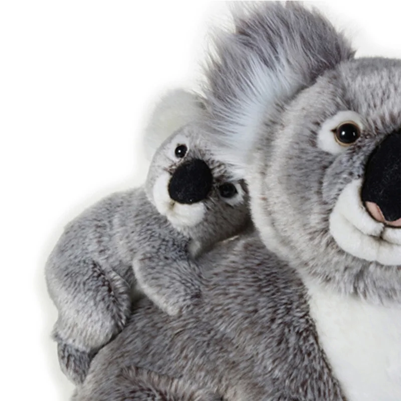 koala soft toys