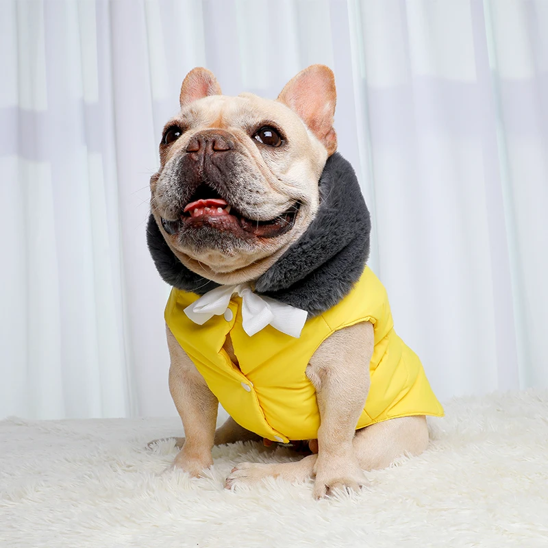 yellow dog coats
