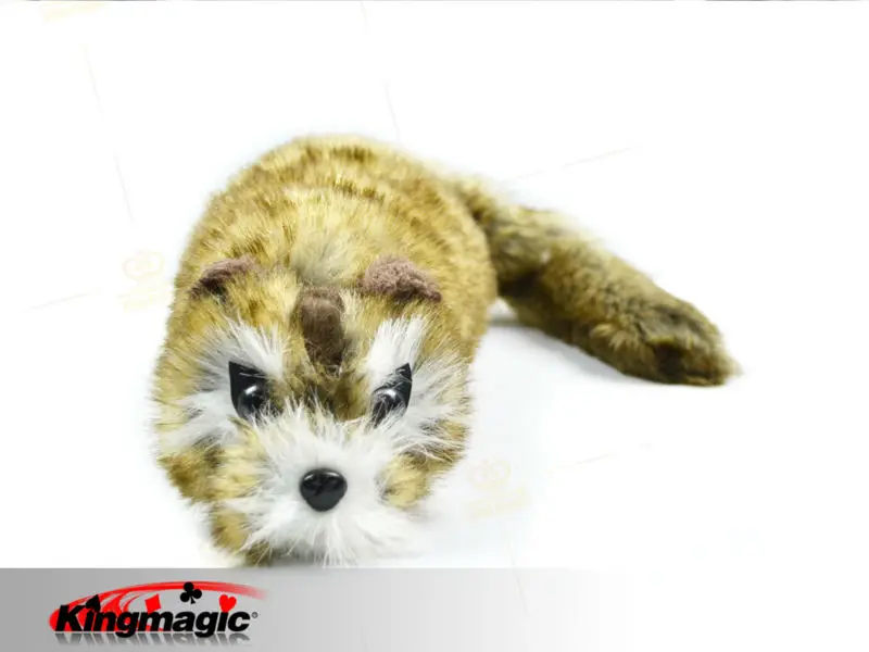 rocky raccoon stuffed animal